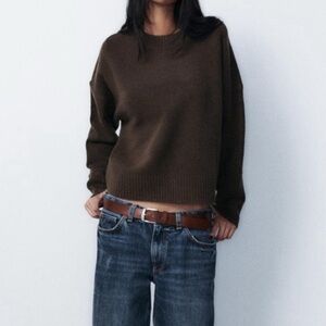 Zara Brown Crew Neck Sweater
